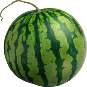 watermelon PNG image-2639